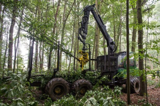 MOIPU 240 EFI kirtimo galvutė medvežei.