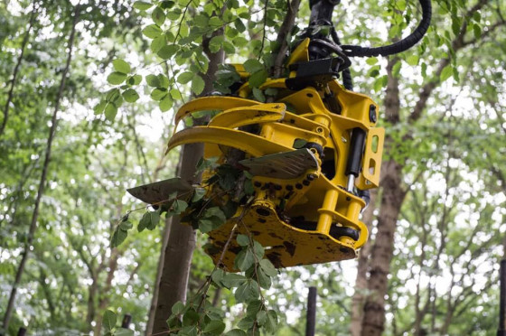 MOIPU 240 EFI head to forwarder.