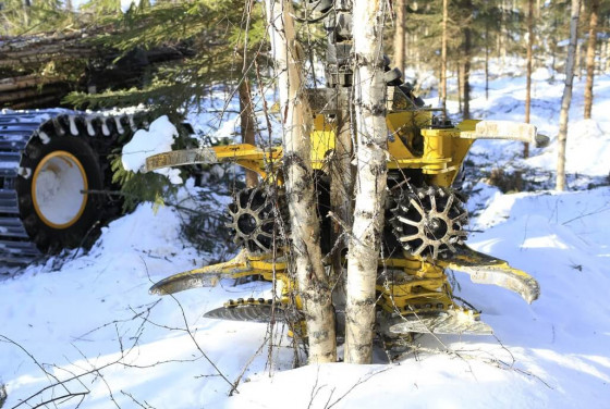 MOIPU 300F1 head is the most effective solution for cutting trees up to 20 cm in diameter.