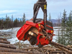 WARATAH harvester head.