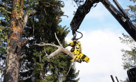 MOIPU GS550RC grapple saw is designed for grapping and felling trees up to 63 cm with one cut.