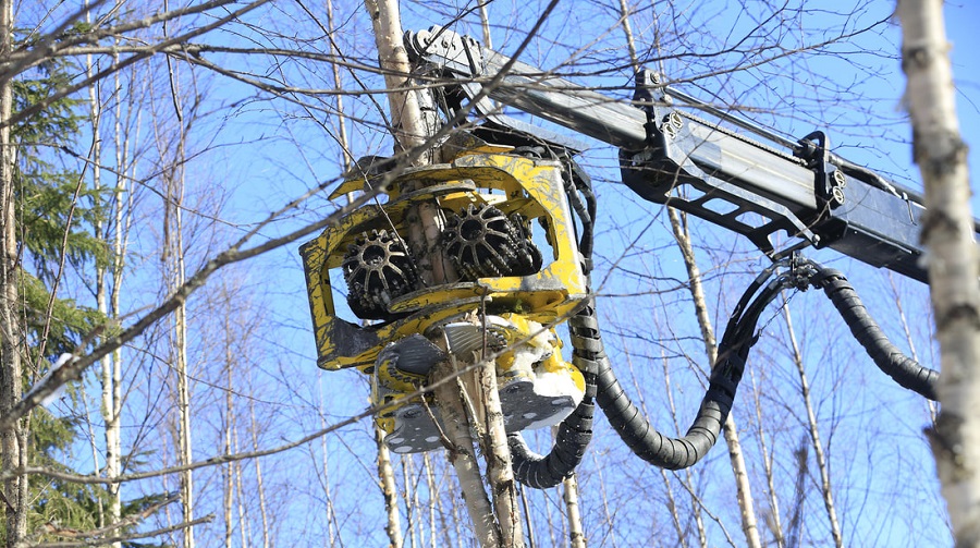 MOIPU 300F1 kirtimo galvutės – efektyviausias sprendimas kertant iki 20 cm skersmens medžius.